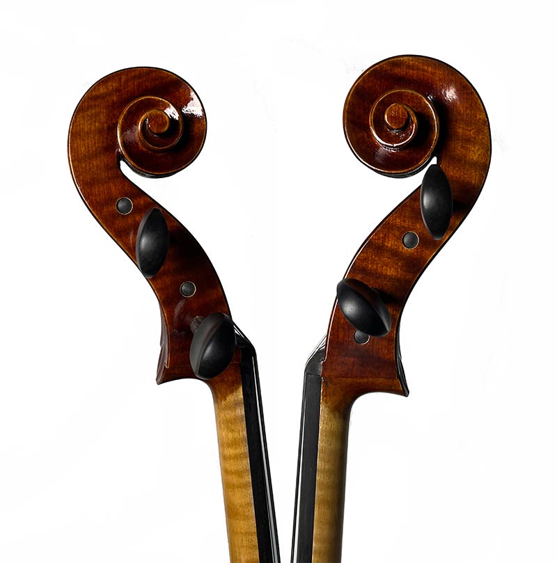 國料大提琴B系列（深色）