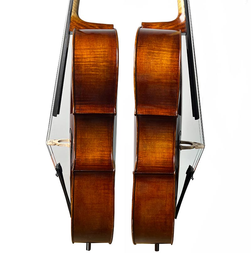 國料大提琴B系列（深色）